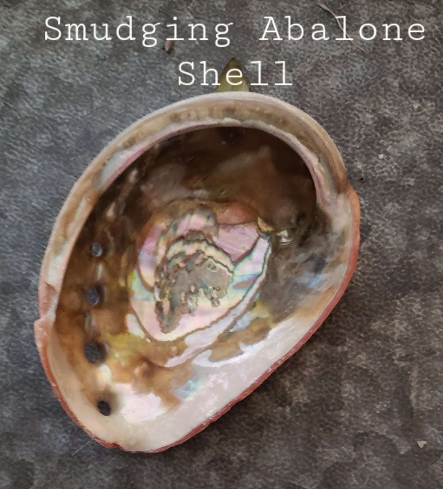 Smudging  Abalone Shell